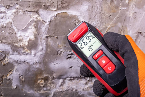 Best Commercial Mold Removal  in West Chatham, MA