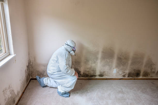 Best Mold Testing  in West Chatham, MA